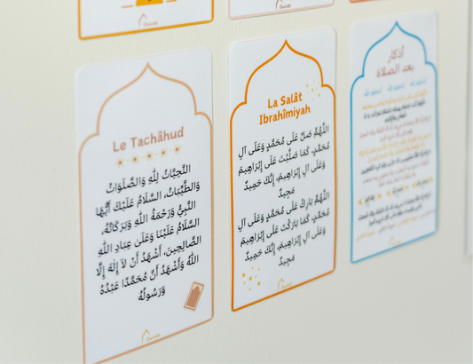 MINI AFFICHES - PACK SALÂT 2