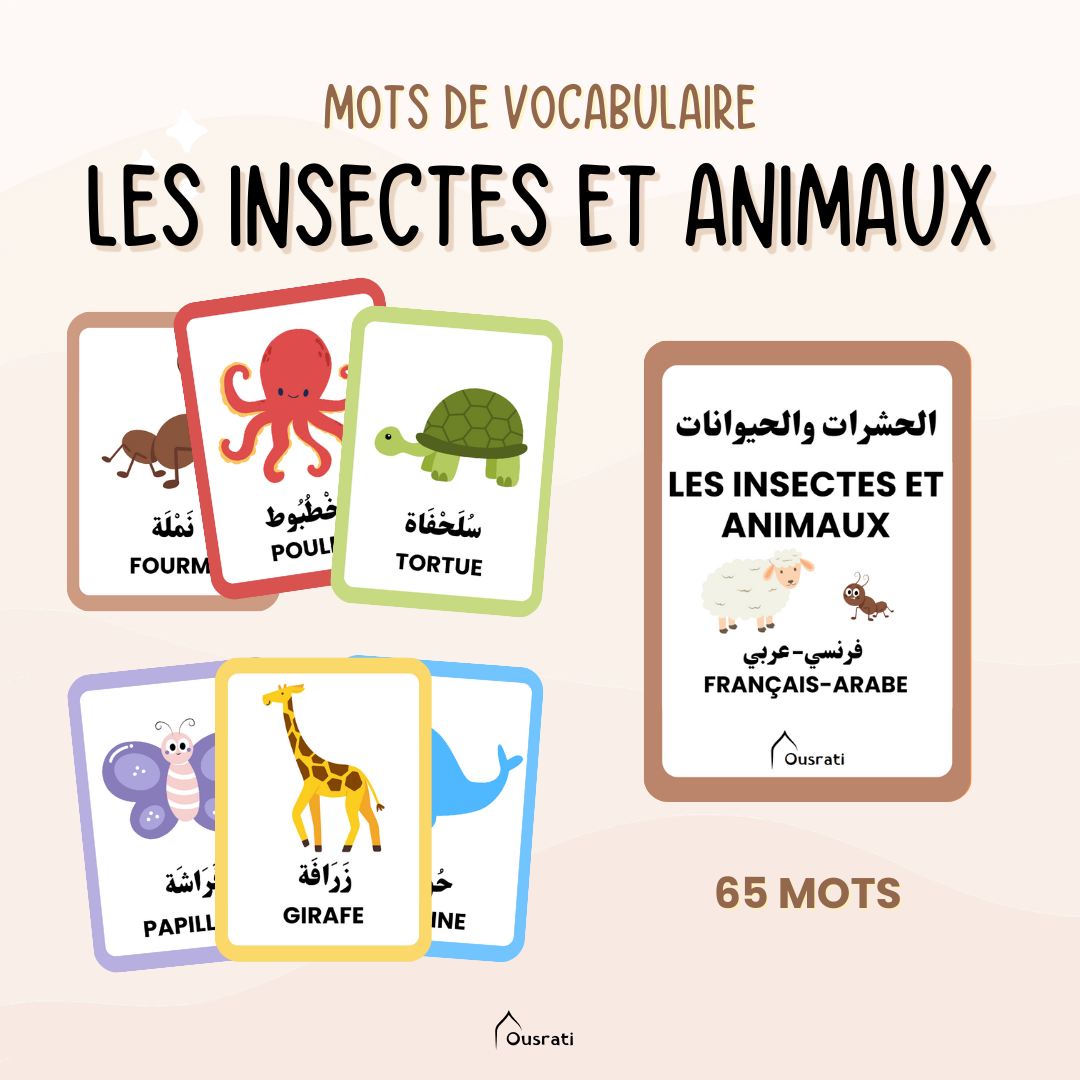 CARTES - LES INSECTES ET ANIMAUX