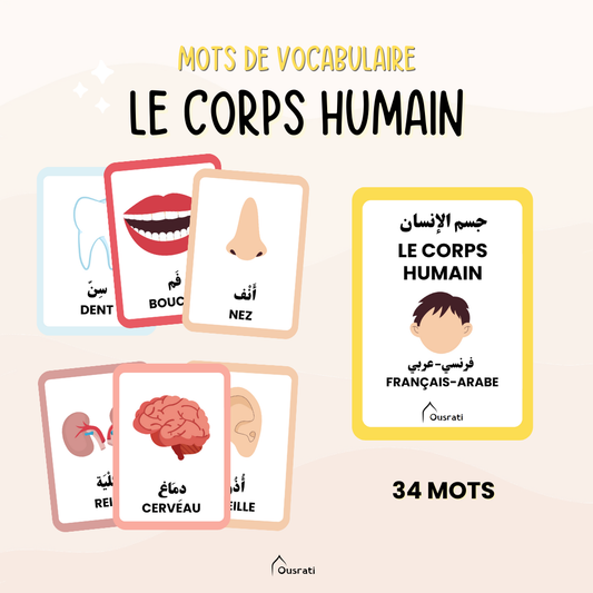 CARTES - LE CORPS HUMAIN