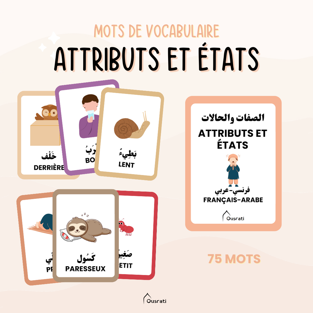 CARTES - ATTRIBUTS ET ÉTATS