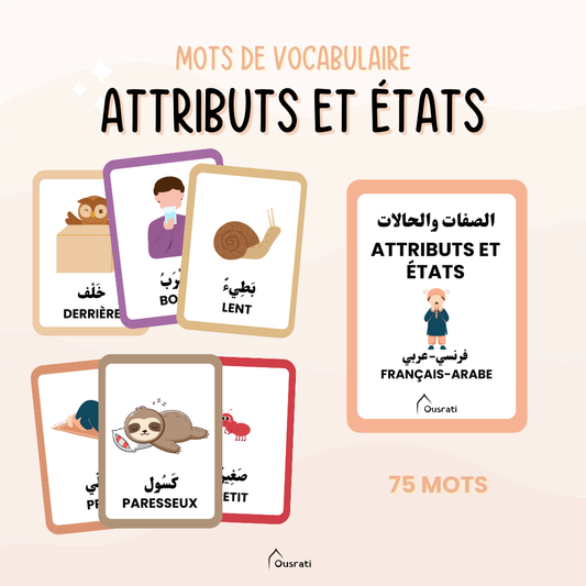 CARTES - ATTRIBUTS ET ÉTATS